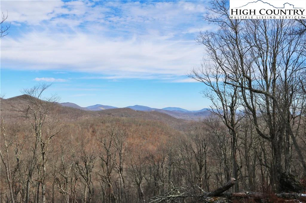 Image number 1 for the current listing