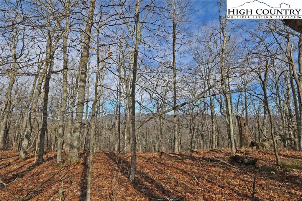 Image number 21 for the current listing