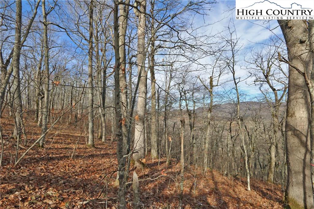 Image number 20 for the current listing