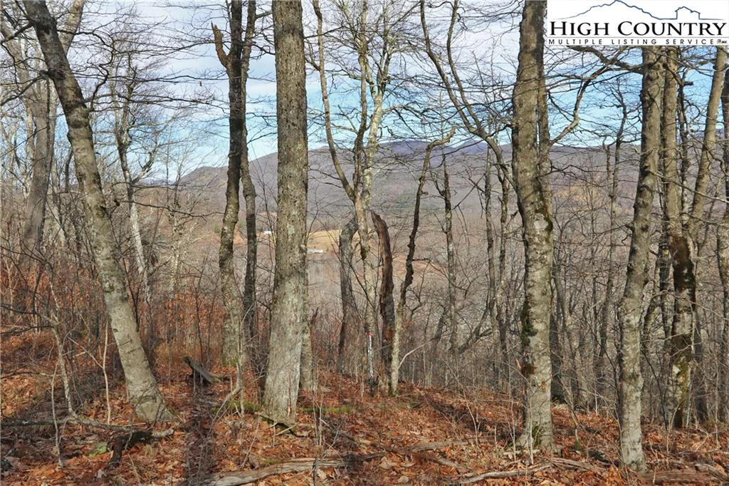 Image number 19 for the current listing
