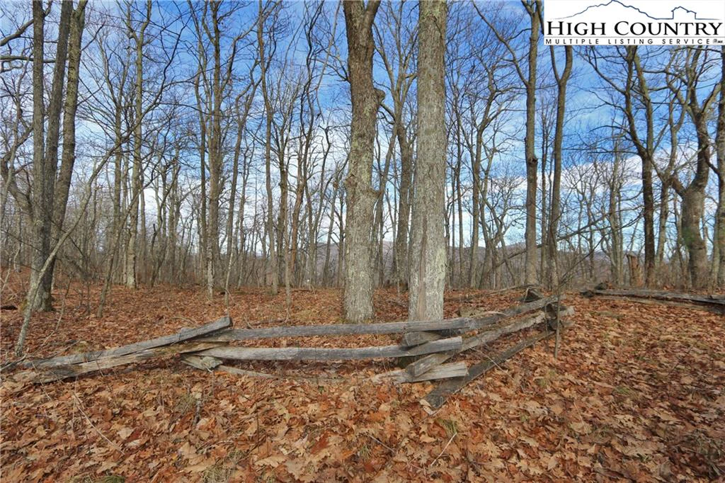 Image number 10 for the current listing