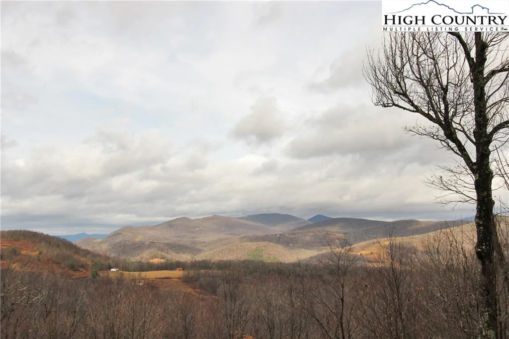 Image number 3 for the current listing