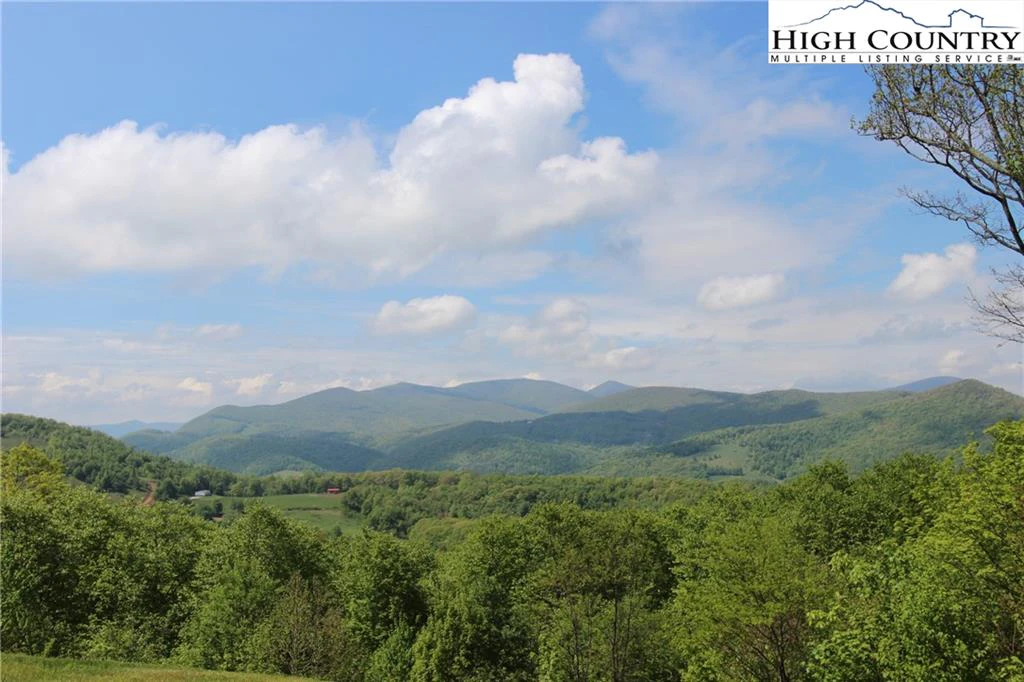 Image number 4 for the current listing