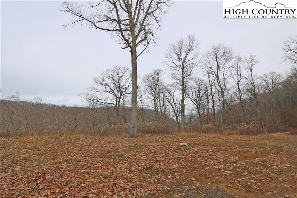 Image number 5 for the current listing