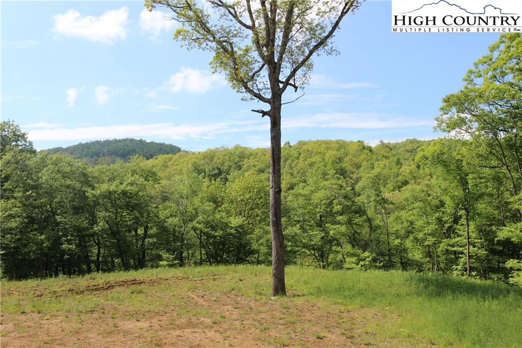 Image number 7 for the current listing