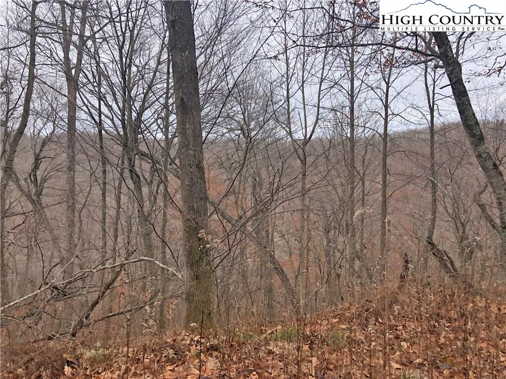 Image number 8 for the current listing