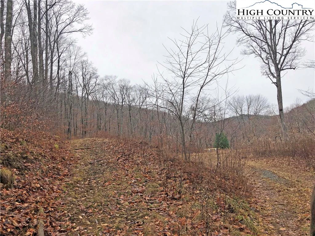 Image number 9 for the current listing