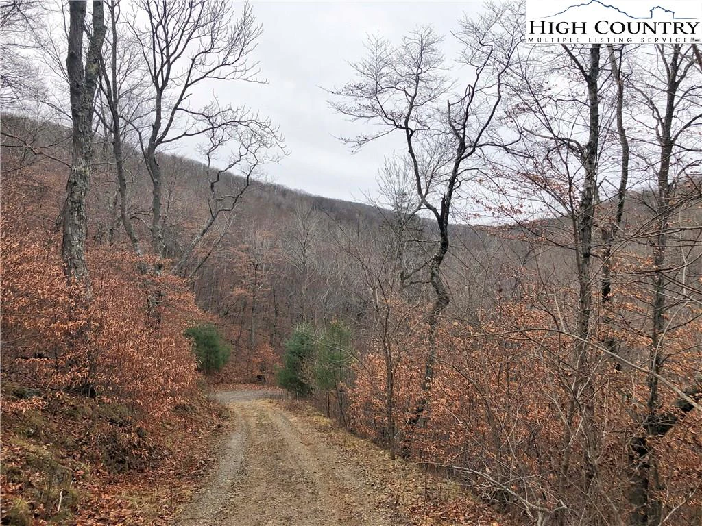 Image number 2 for the current listing