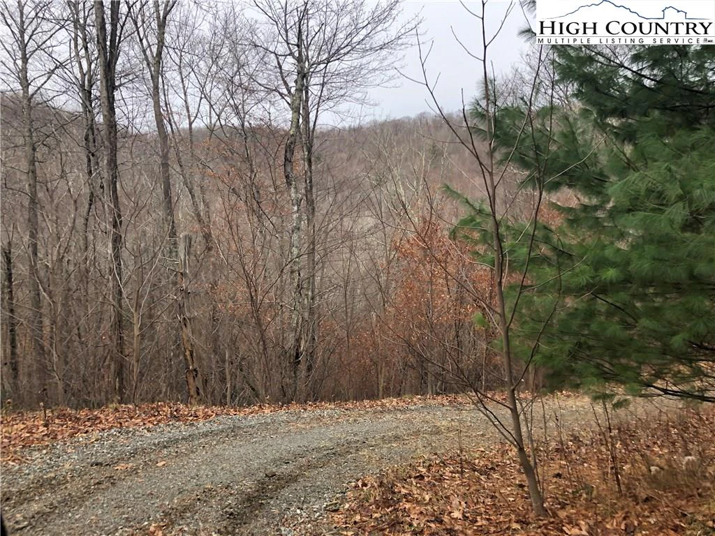 Image number 11 for the current listing