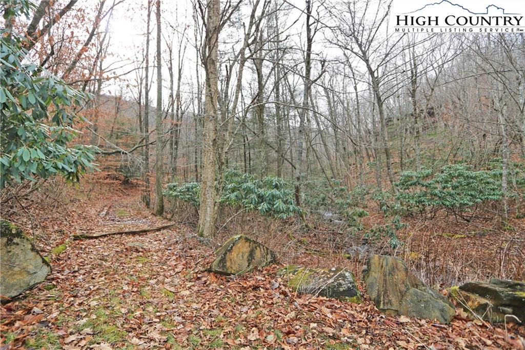 Image number 12 for the current listing