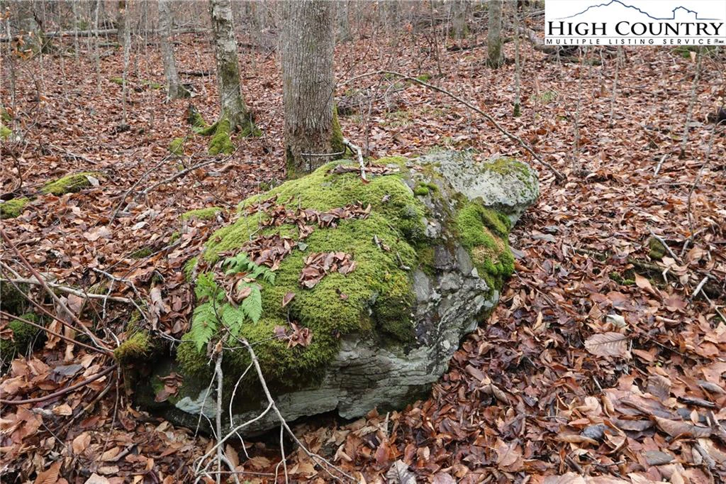 Image number 13 for the current listing