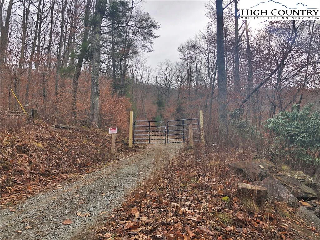 Image number 15 for the current listing