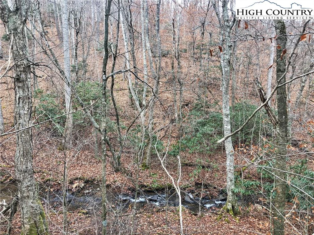 Image number 16 for the current listing