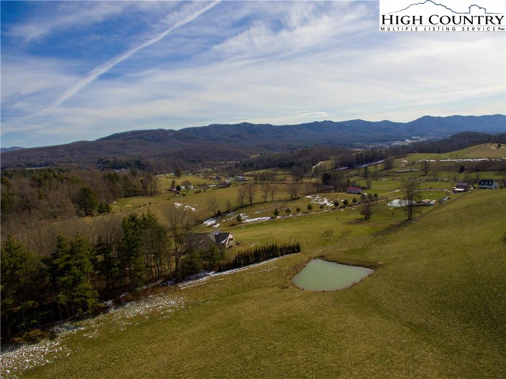 Image number 1 for the current listing