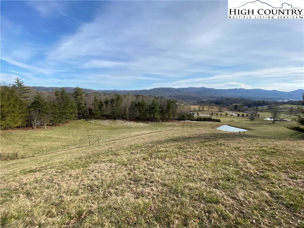 Image number 3 for the current listing
