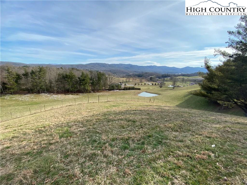 Image number 4 for the current listing