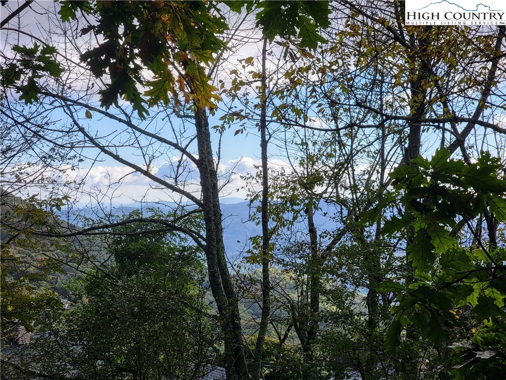 Image number 1 for the current listing