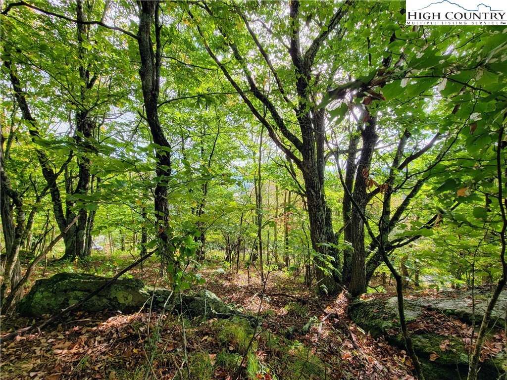 Image number 4 for the current listing