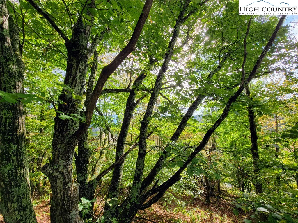 Image number 6 for the current listing