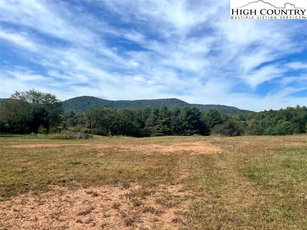 Image number 1 for the current listing