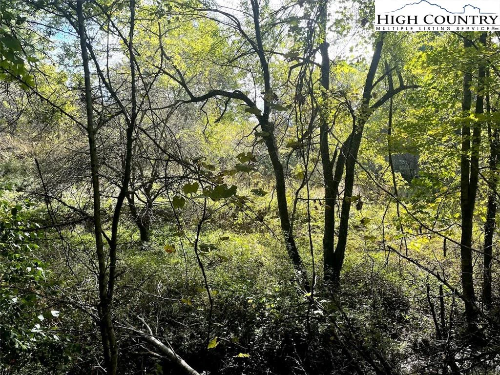 Image number 6 for the current listing