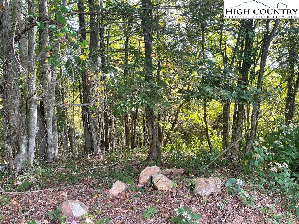 Image number 4 for the current listing