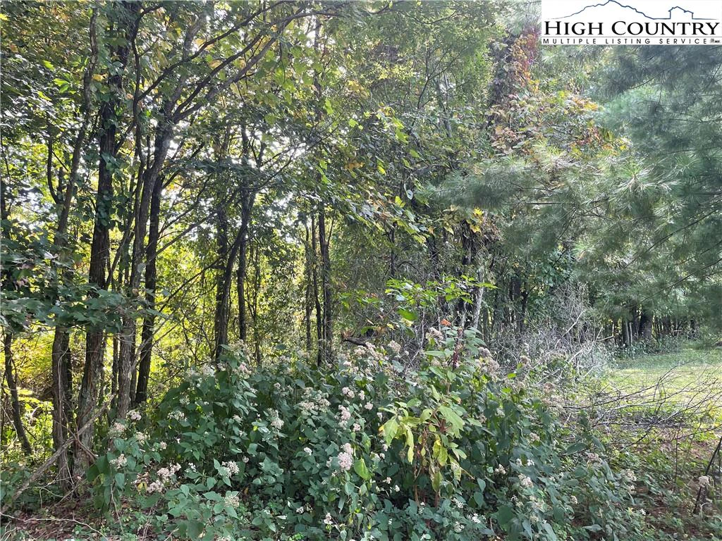 Image number 3 for the current listing