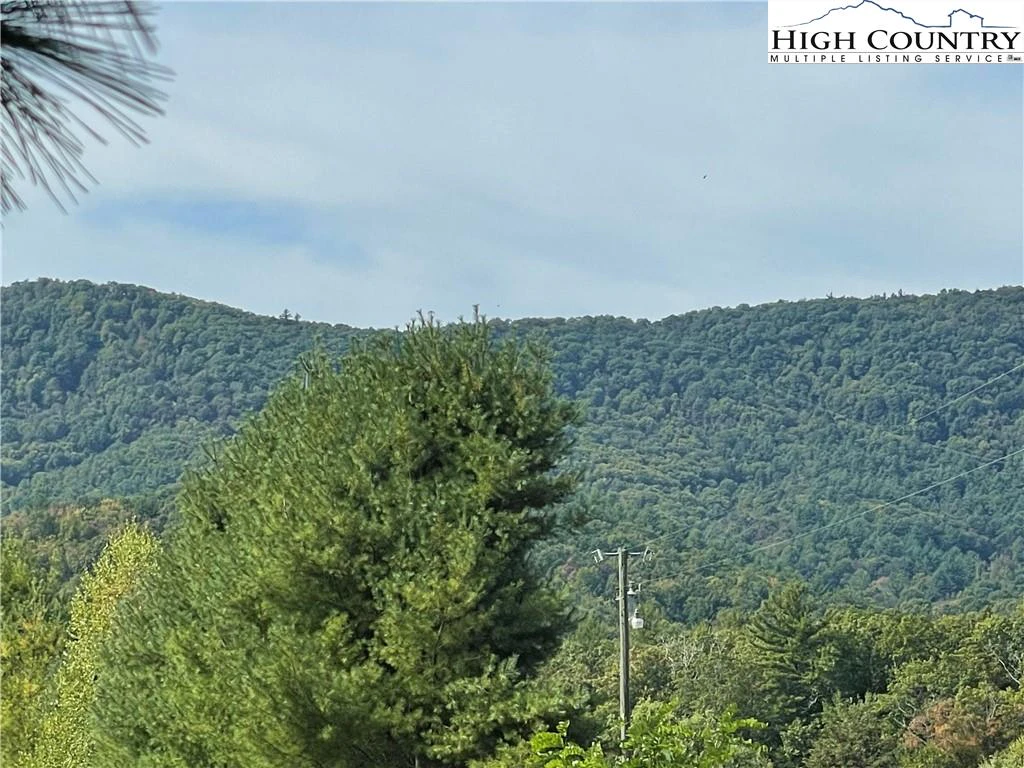 Image number 14 for the current listing