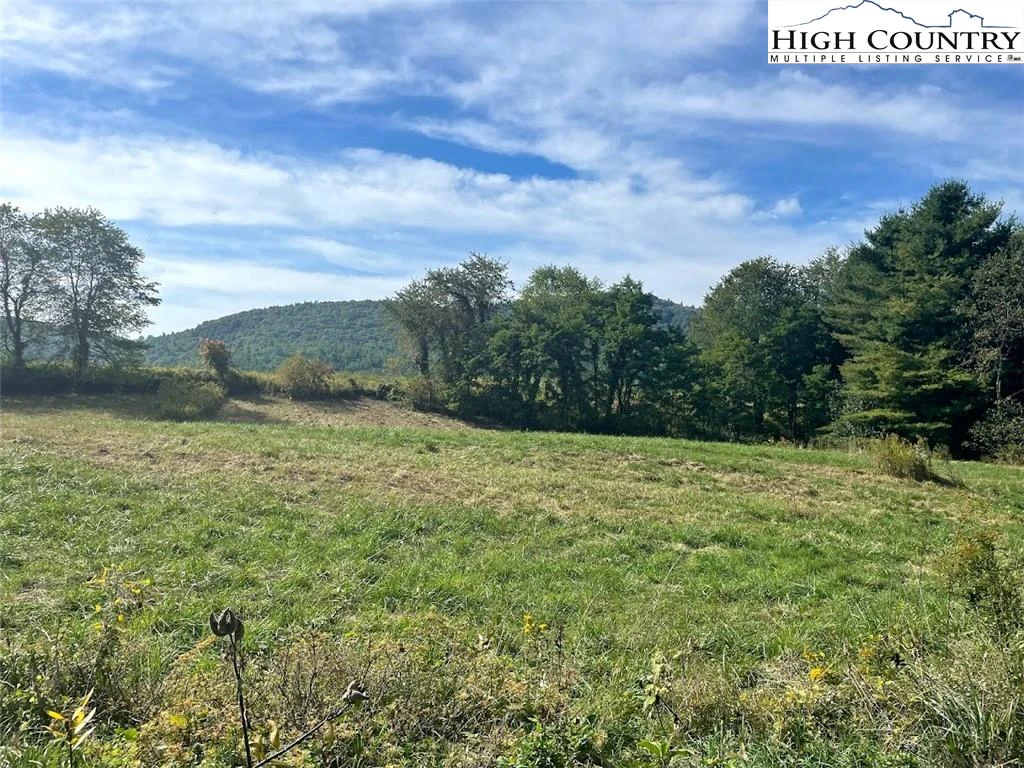 Image number 11 for the current listing