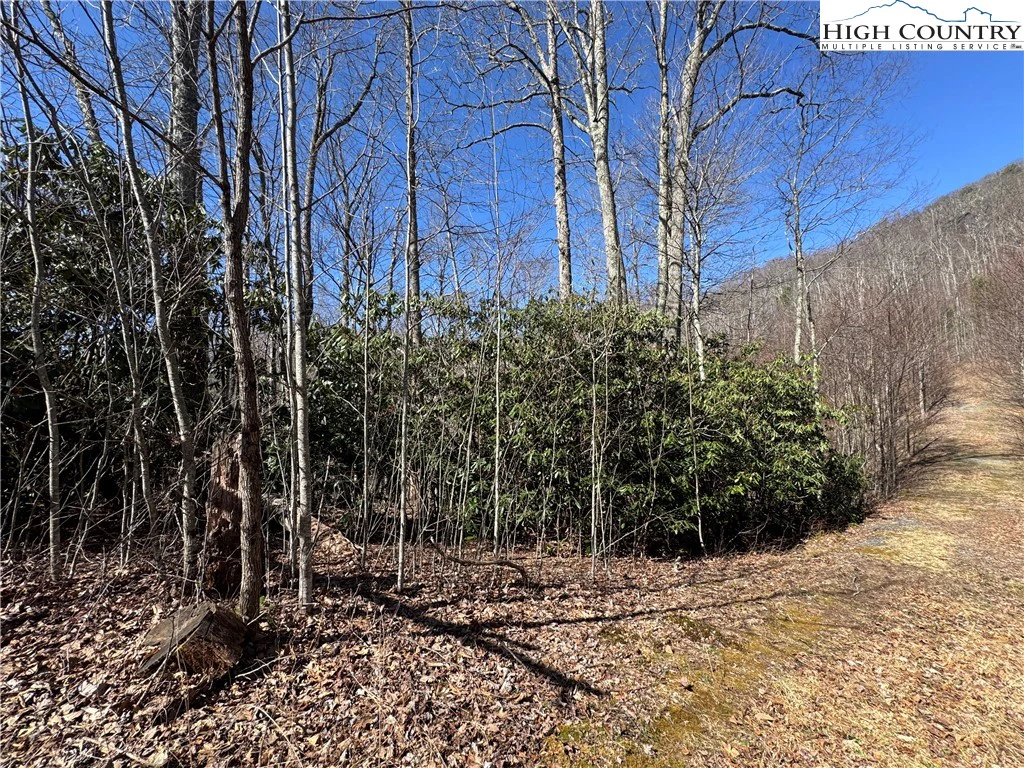 Image number 16 for the current listing