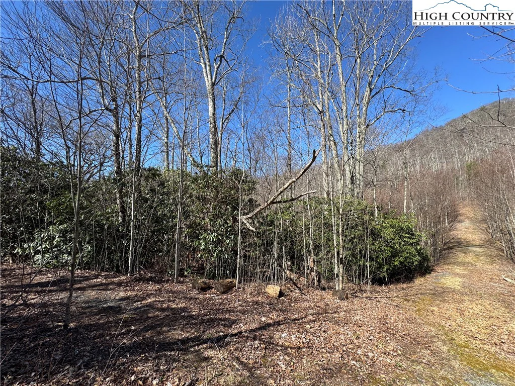 Image number 2 for the current listing