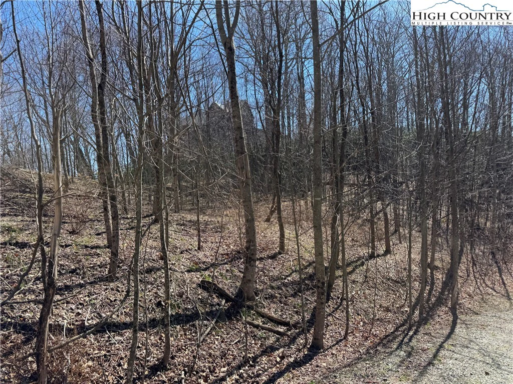 Image number 14 for the current listing
