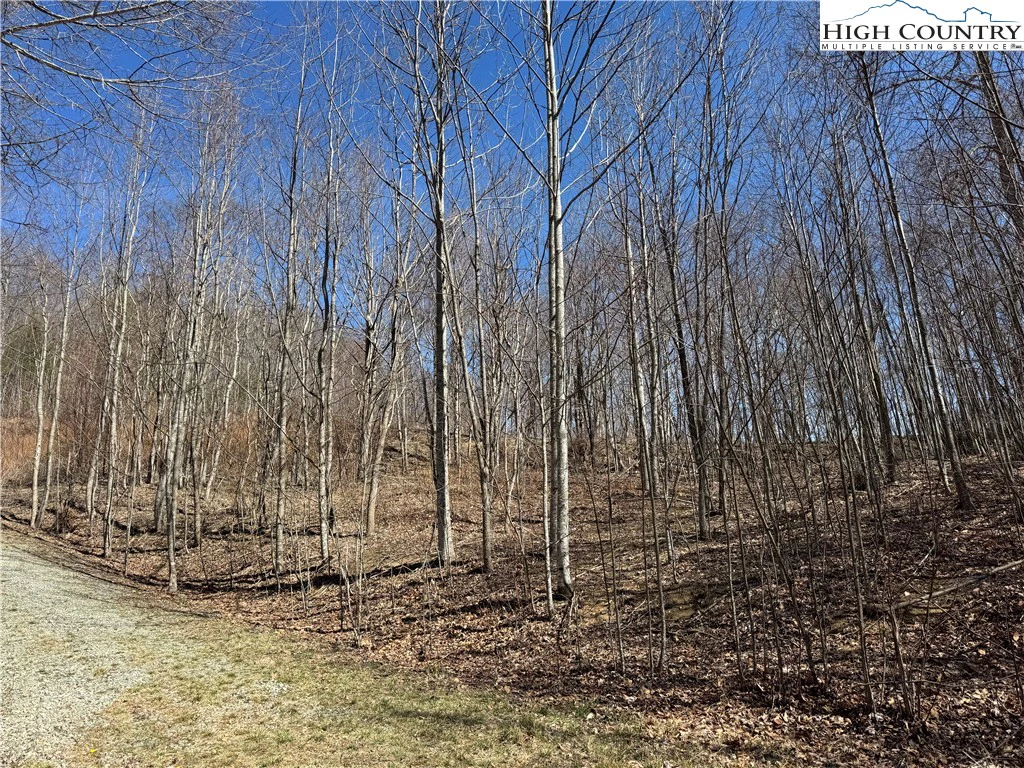 Image number 11 for the current listing