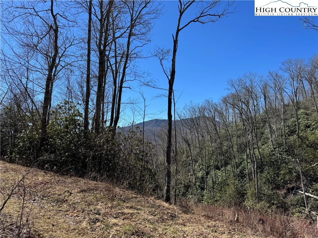 Image number 1 for the current listing