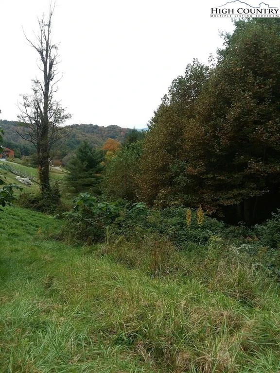 Image number 6 for the current listing