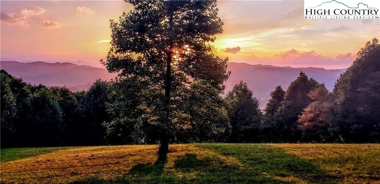 Image number 1 for the current listing