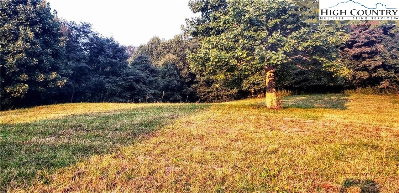 Image number 5 for the current listing