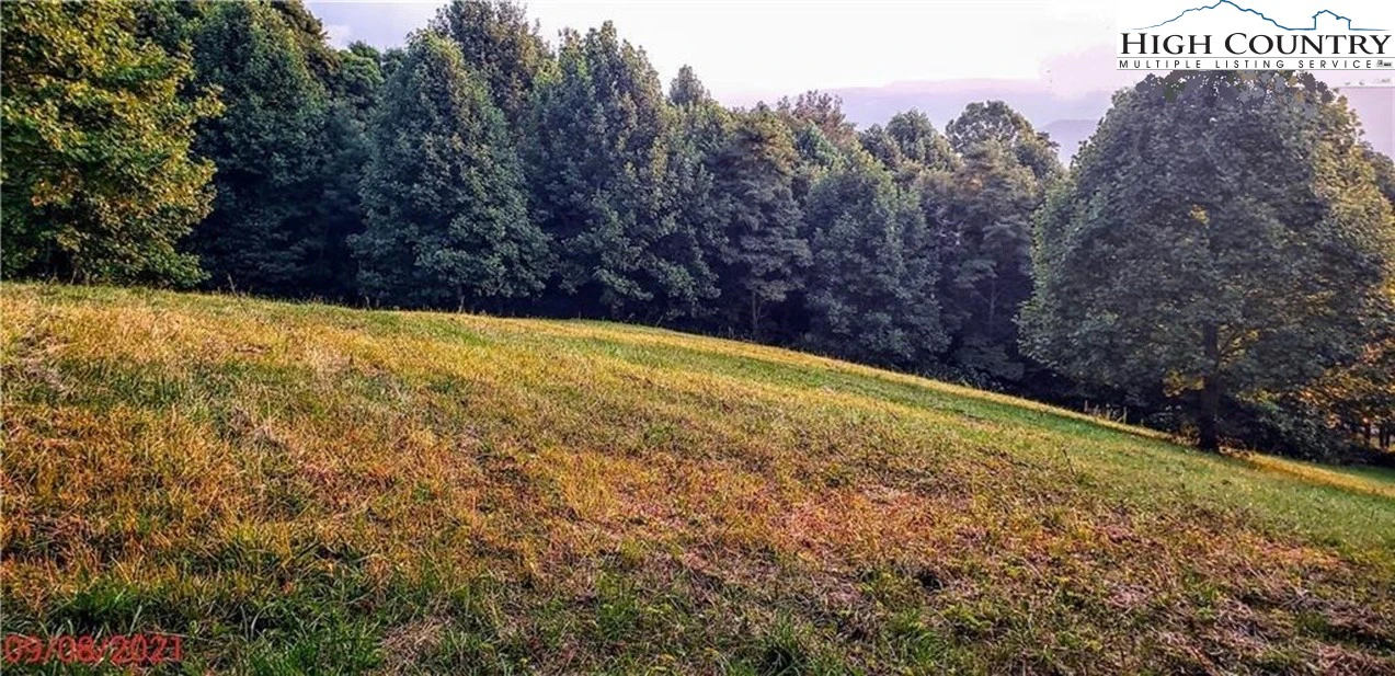 Image number 6 for the current listing