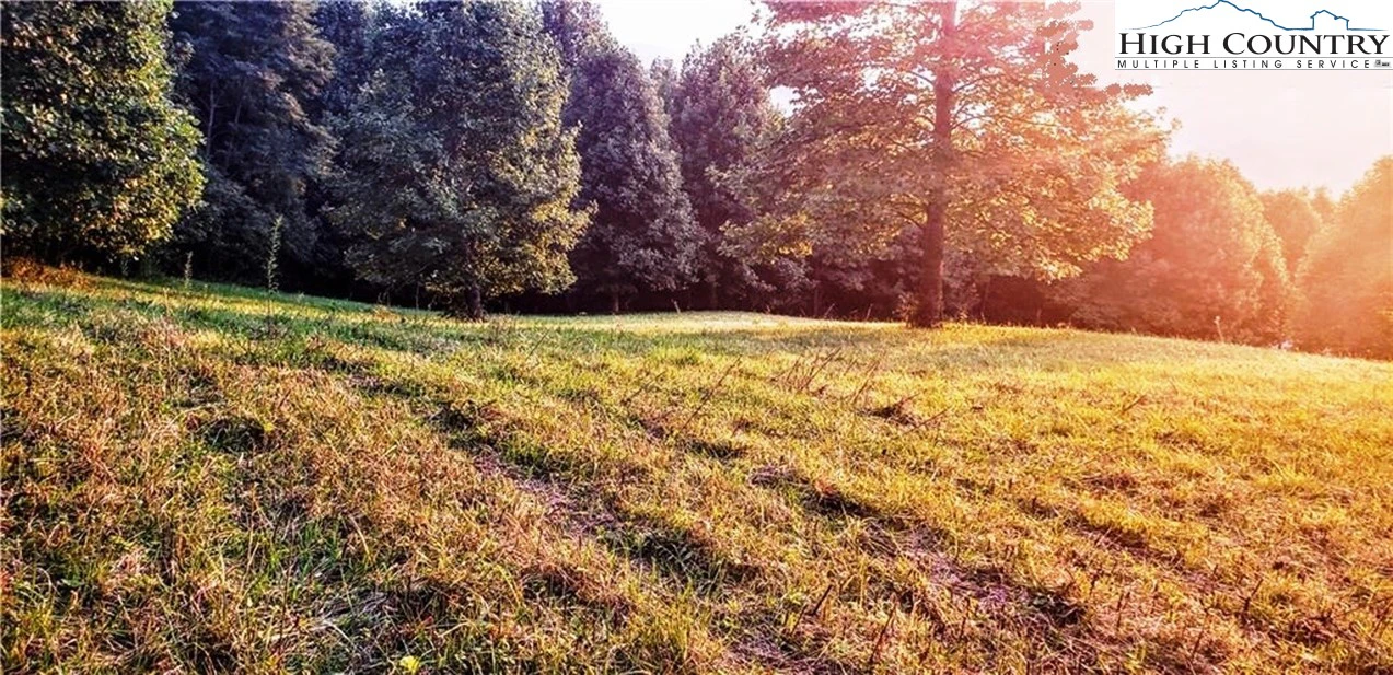 Image number 10 for the current listing