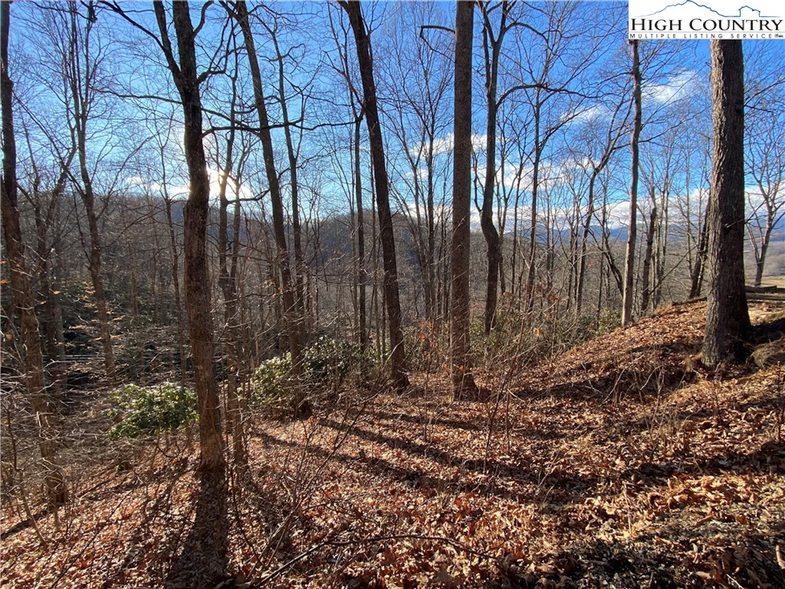 Image number 1 for the current listing