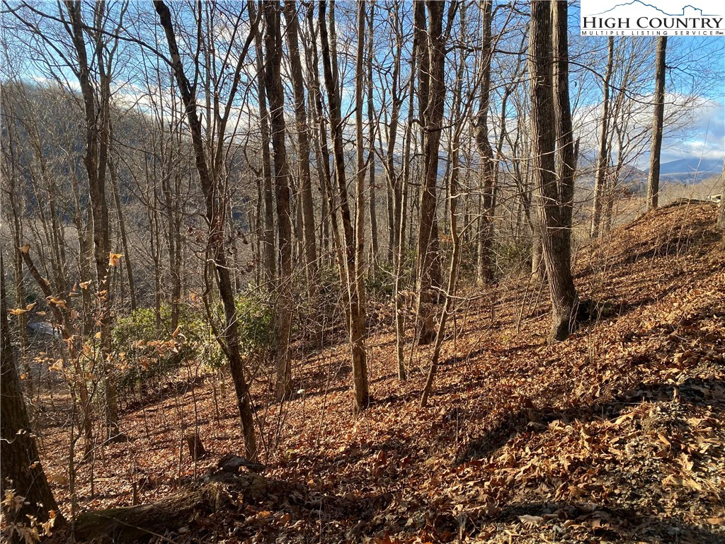 Image number 3 for the current listing