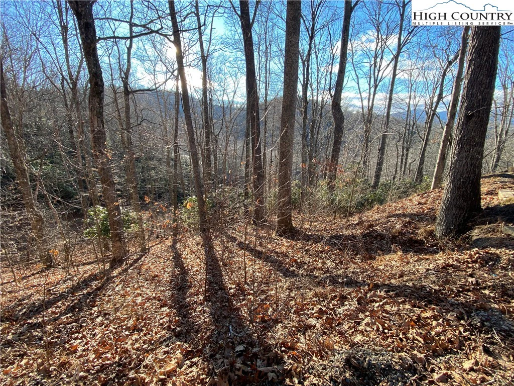 Image number 4 for the current listing