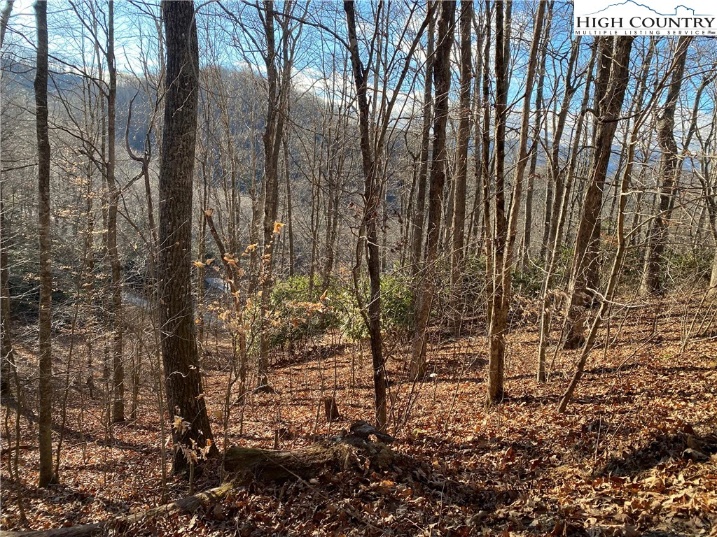 Image number 5 for the current listing