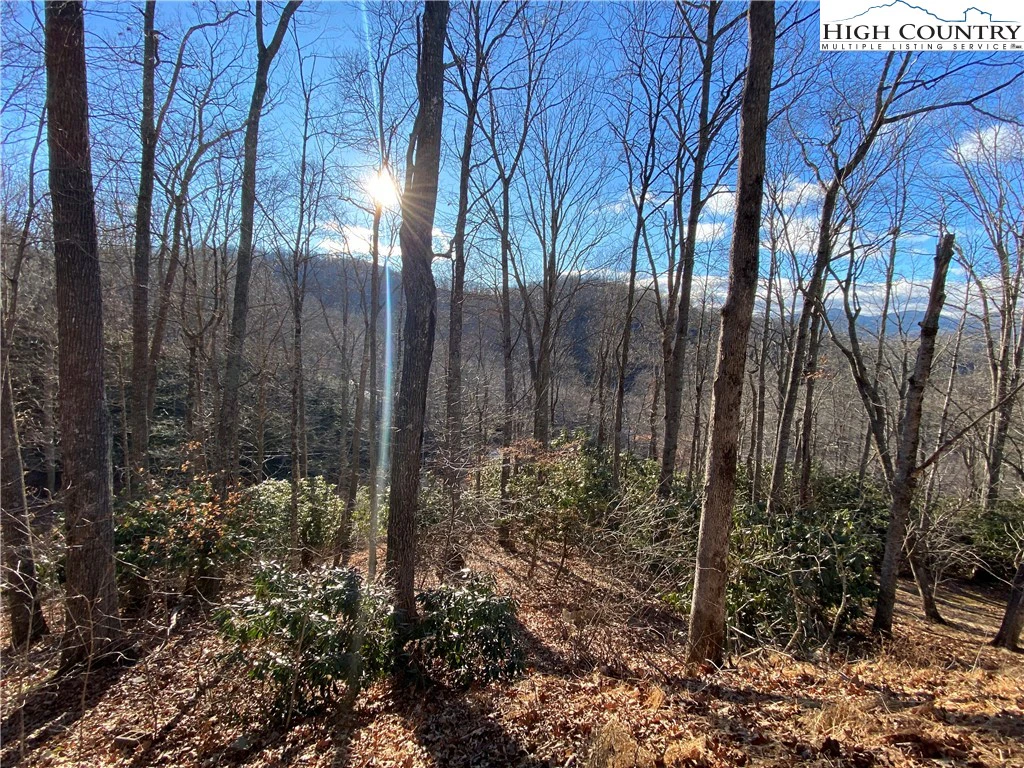 Image number 6 for the current listing