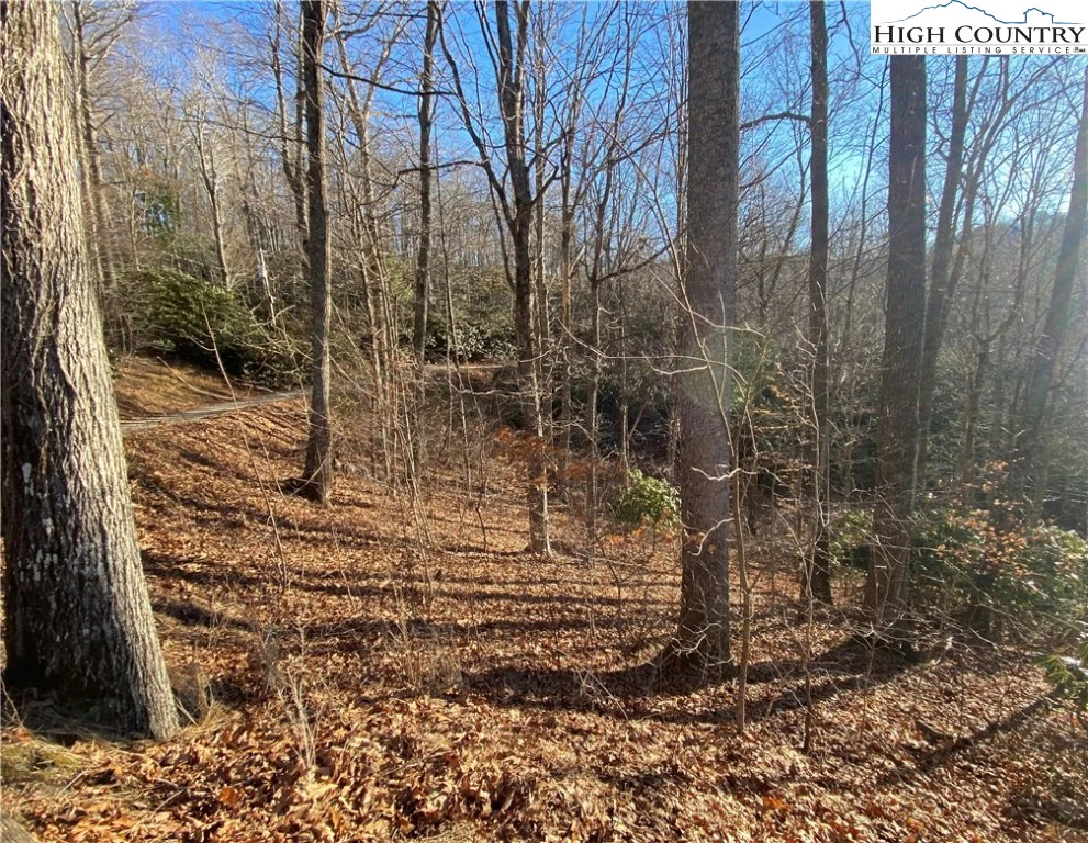 Image number 7 for the current listing