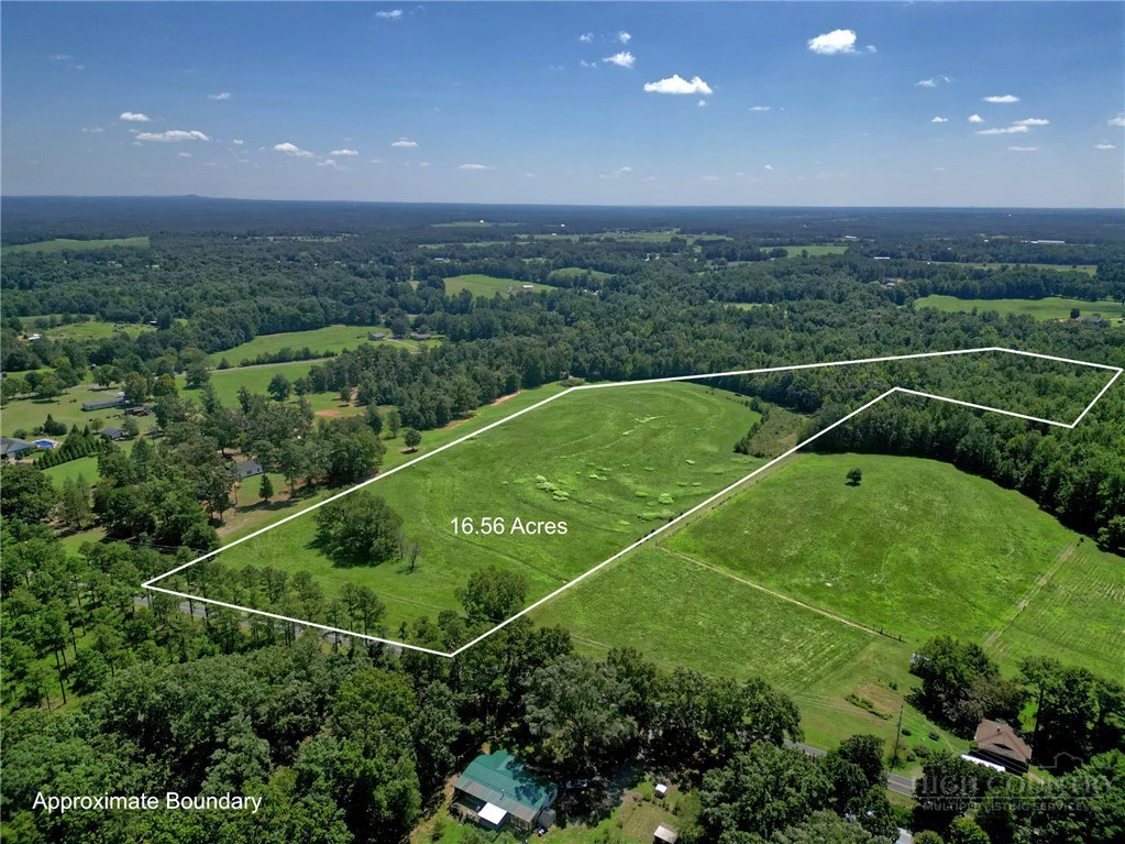 Image number 2 for the current listing