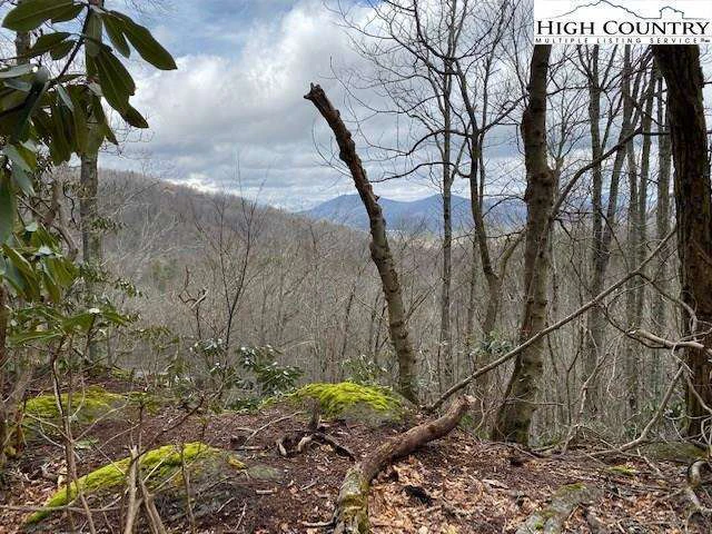 Image number 1 for the current listing