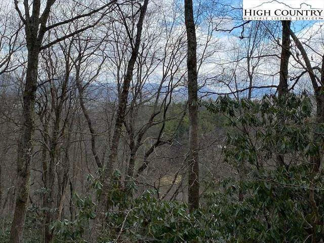 Image number 3 for the current listing