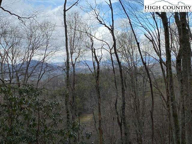 Image number 4 for the current listing