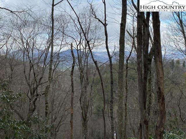 Image number 5 for the current listing